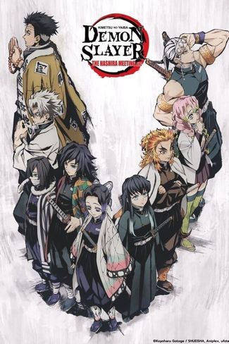Poster zu Demon Slayer Hashira Meeting And Butterfly Mansion