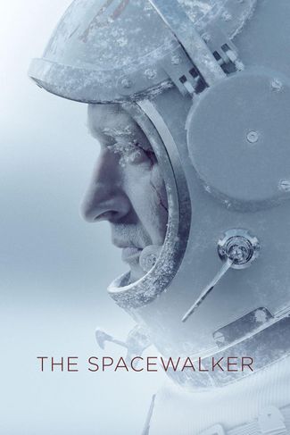 Poster of The Spacewalker
