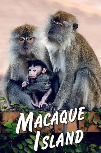 Poster zu Macaque Island