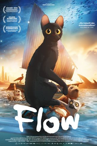 Poster of Flow