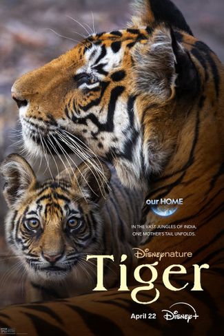 Poster zu Tiger