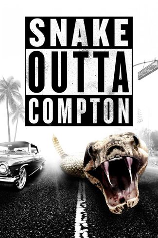 Poster of Snake Outta Compton