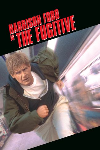 Poster of The Fugitive