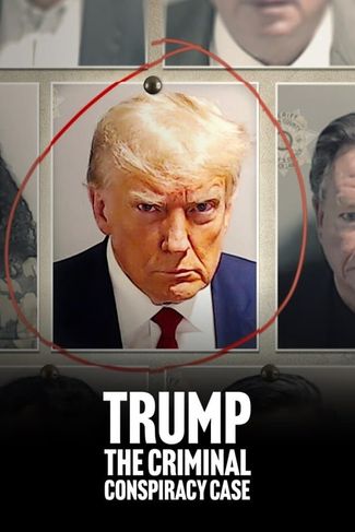 Poster zu Trump: Ein US-Präsident vor Gericht