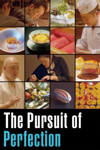 Poster of The Pursuit Of Perfection