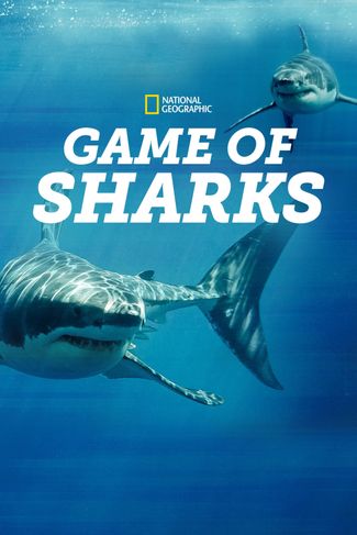 Poster zu Das Turnier der Haie