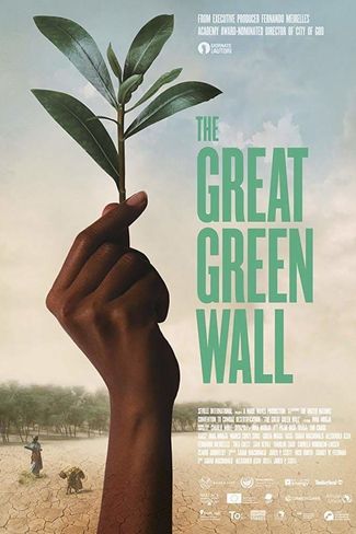 Poster of The Great Green Wall