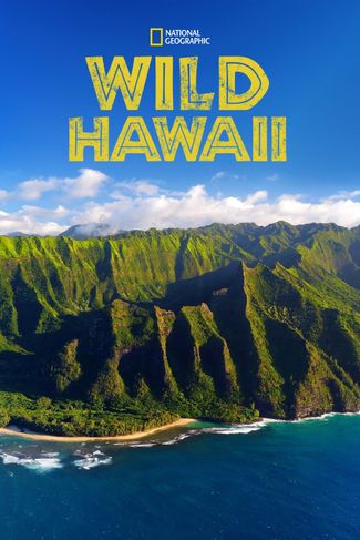 Poster zu Wildes Hawaii