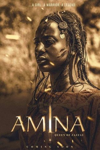 Poster of Amina