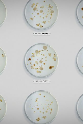 Poster zu Vergiftet: Die schmutzige Wahrheit über unser Essen