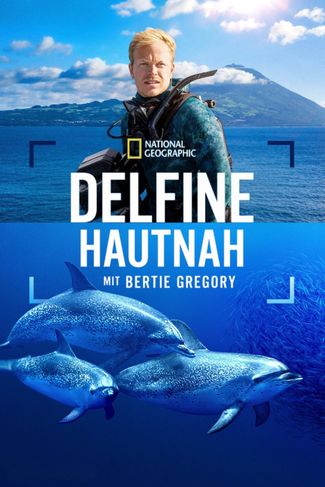 Poster zu Delfine hautnah mit Bertie Gregory