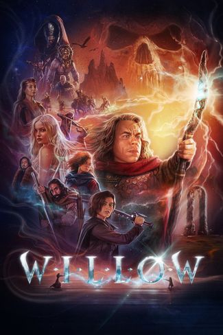 Poster of Willow