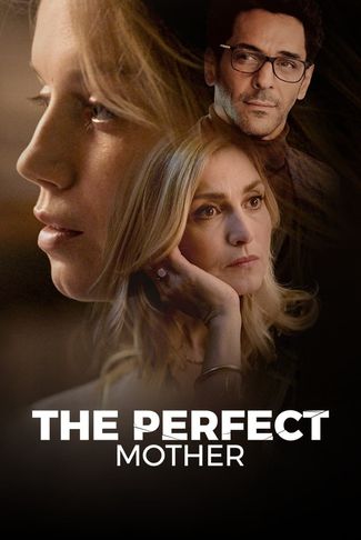 Poster of The Perfect Mother