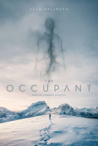 Poster zu The Occupant