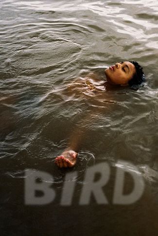 Poster of Bird