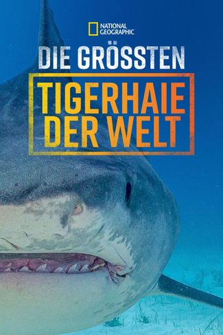 Poster zu Die größten Tigerhaie der Welt