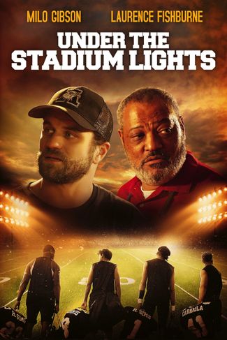 Poster of Under the Stadium Lights