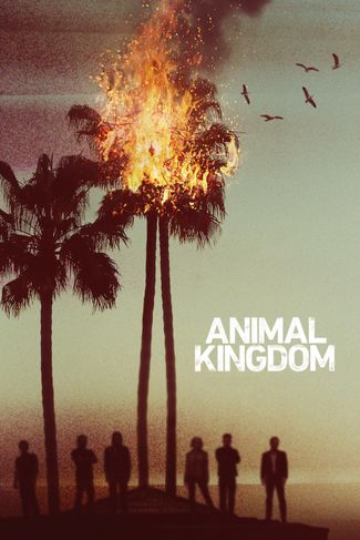 Poster of Animal Kingdom