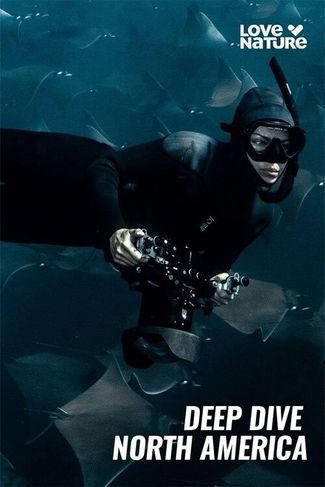 Poster of Deep Dive North America