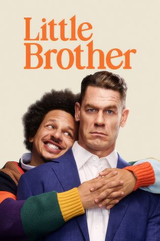 Poster zu Little Brother