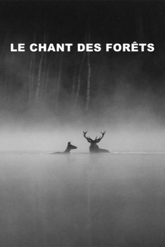 Poster of Whispers in the Woods