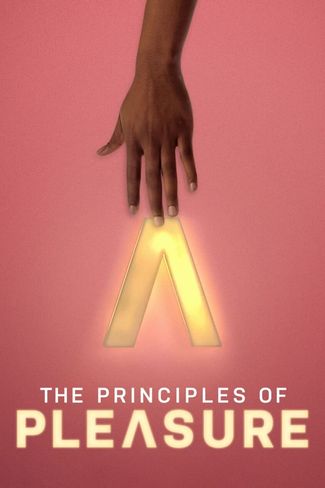 Poster zu The Principles of Pleasure