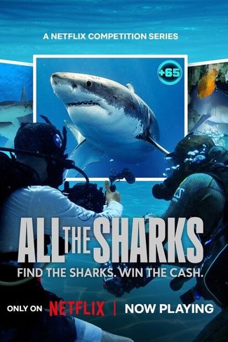 Poster zu All the Sharks