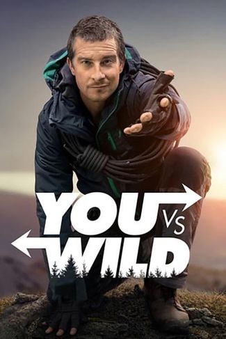Poster of You vs. Wild