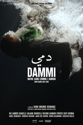 Poster of Dammi