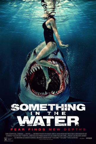 Poster zu Something In the Water