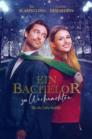 Poster zu Ein Bachelor zu Weihnachten