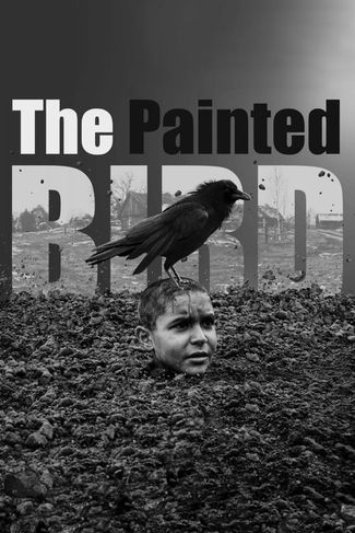 Poster of The Painted Bird