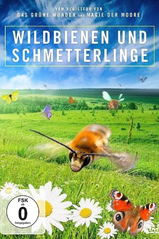 Poster zu Wildbienen und Schmetterlinge