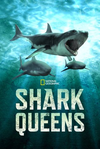 Poster zu Königinnen der Haie