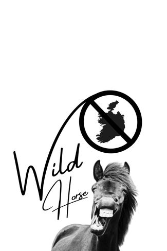 Poster of Wild Horse Nine