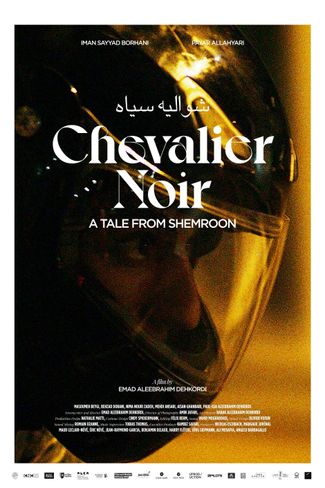 Poster zu Chevalier noir