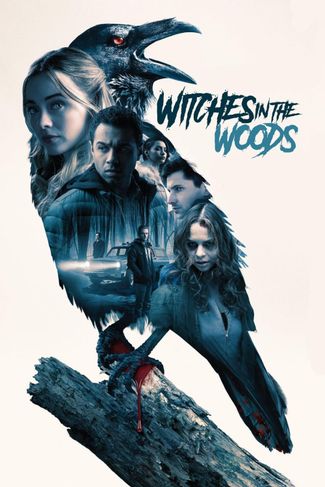 Poster of Witches in the Woods