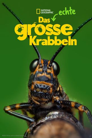 Poster zu Das echte große Krabbeln