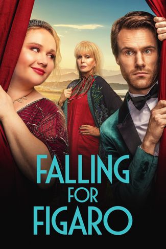 Poster of Falling for Figaro