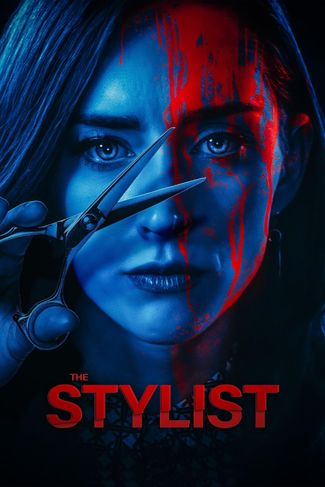 Poster of The Stylist