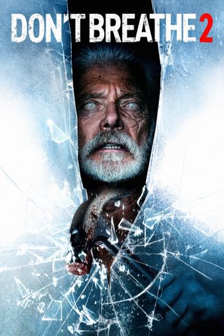 Poster of Don't Breathe 2