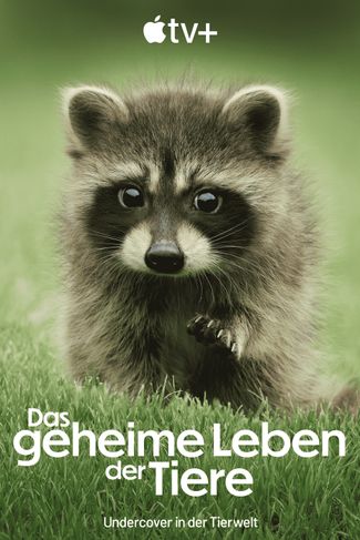 Poster zu Das geheime Leben der Tiere