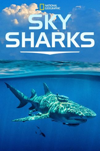 Poster zu  Haie von obenSky Sharks