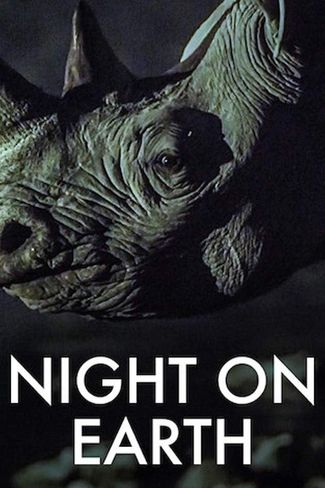 Poster of Night on Earth