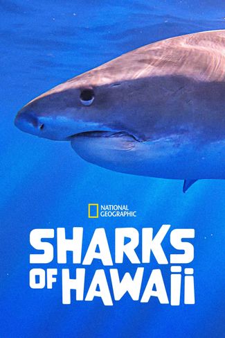 Poster zu Die Haie von Hawaii