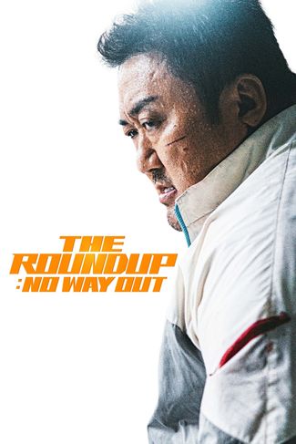 Poster of The Roundup: No Way Out