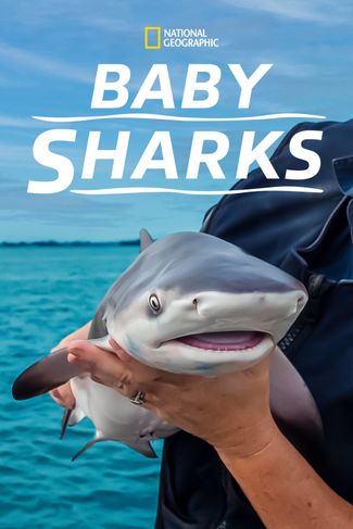 Poster of Baby Sharks