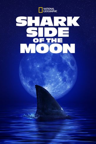 Poster zu Der größte Hammerhai der Welt?Shark Side of the Moon