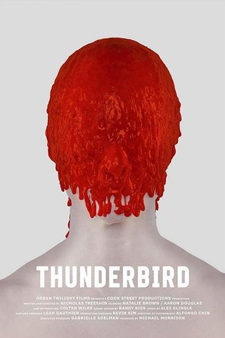 Poster of Thunderbird
