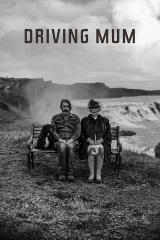 Poster zu Driving Mom